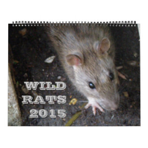 Wild Rats 2015 Calendar