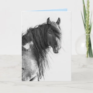 Wild Red Desert Stallion Looks - Greeting Card