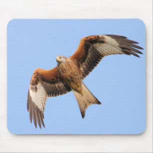 Wild Red Kites Mouse Pad