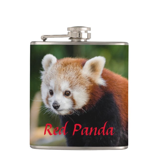 Wild Red Panda  Hip Flask (Front)