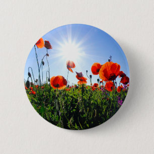 Wild Red Poppies Flowers 6 Cm Round Badge