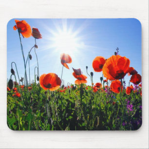 Wild Red Poppies Flowers Mouse Pad
