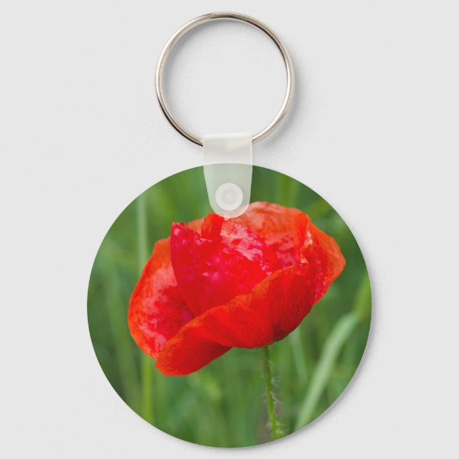 Wild red poppy flower key ring (Front)