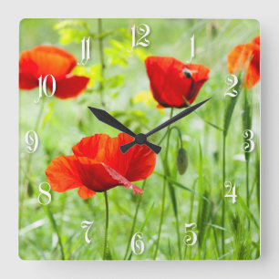 Wild red poppy flower square wall clock