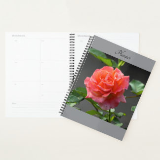 Wild Red Rose - planner