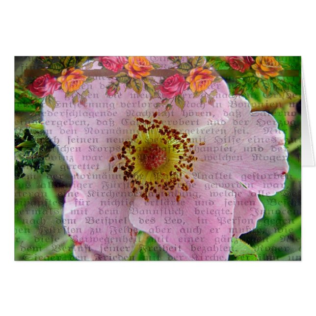 Wild Rose (Front Horizontal)