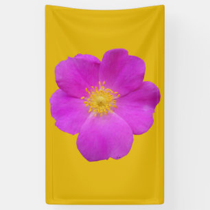 Wild Rose 2 Banner