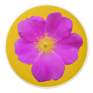 Wild Rose 2 Ceramic Knob