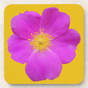 Wild Rose 2 Coaster