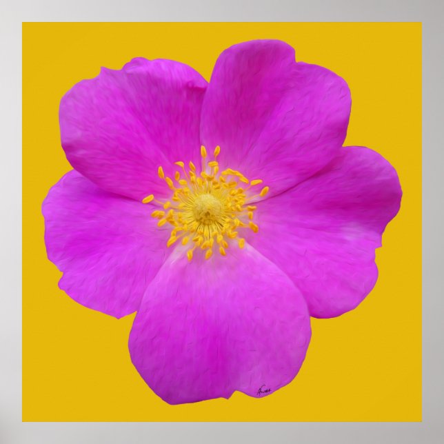 Wild Rose 2 Poster (Front)