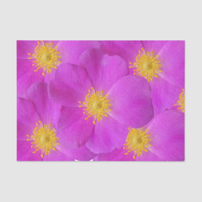 Wild Rose 2 Tissue Paper (Front)