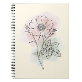 Wild Rose Botanical Watercolor Sketch Spiral  Notebook