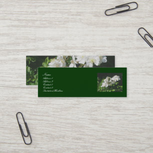 Wild Rose Business Cards