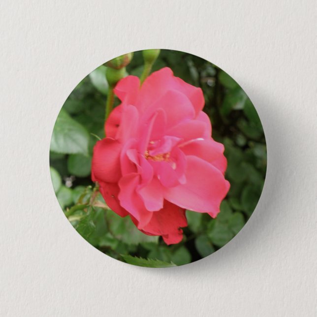 Wild Rose Button (Front)
