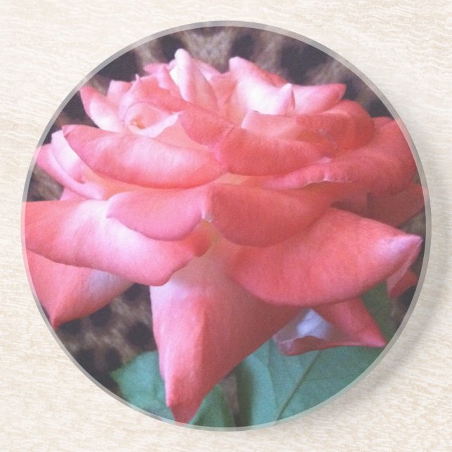 Wild Rose Coaster (Front)