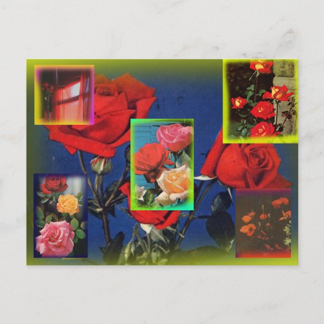 Wild Rose Collage Postcard (Front)