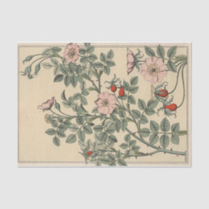 Wild Rose, Eugene Grasset's Botany Series Tissue Paper