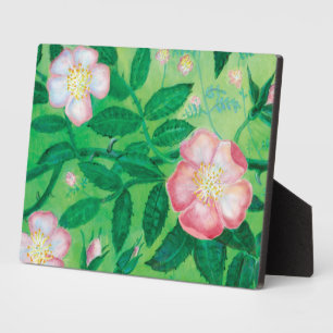 Wild rose flowers  plaque