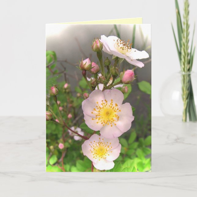 Wild Rose Flowers Thank You Card (Front)