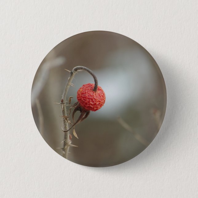 Wild Rose Fruit Button (Front)
