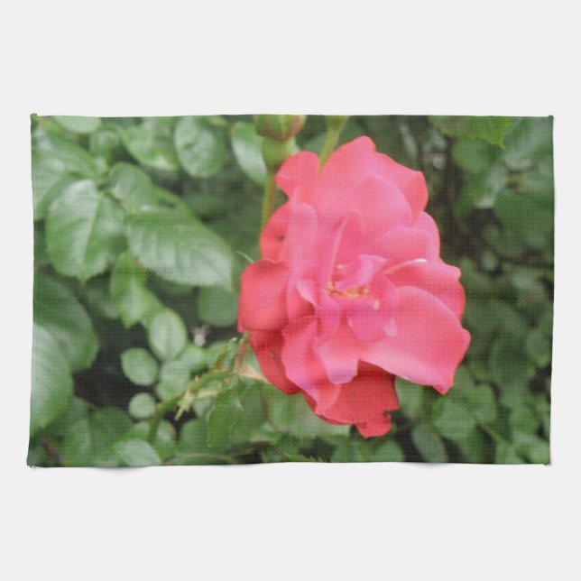 Wild Rose Kitchen Towel (Horizontal)