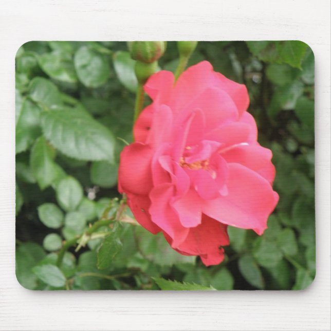 Wild Rose Mousepad (Front)