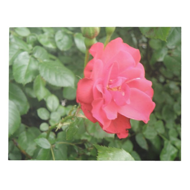 Wild Rose Notepad (Front)