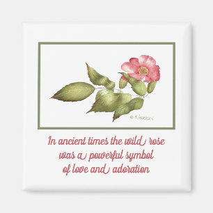 Wild rose pink watercolor flower symbol magnet
