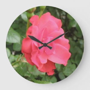 Wild Rose Wall Clock