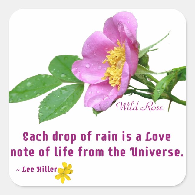 Wild Rose Wildflower Rain Quote Square Sticker (Front)
