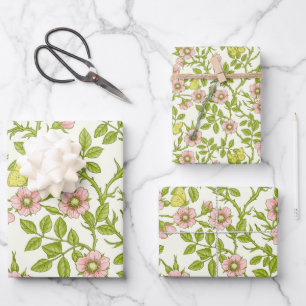 Wild roses and butterflies /pink/pale green/yellow wrapping paper sheet