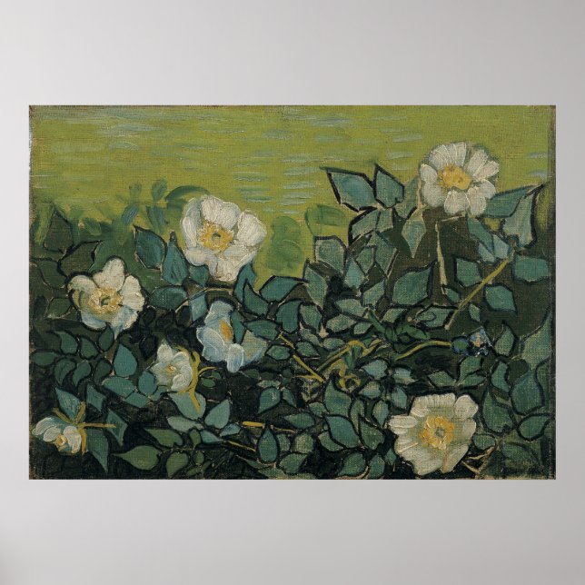 Wild Roses by Vincent Van Gogh Poster (Front)