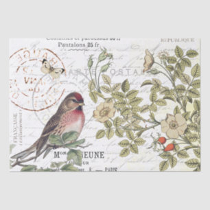 Wild Roses Carte Postale Songbird French Script Tissue Paper