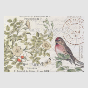 Wild Roses Carte Postale Songbird French Script Tissue Paper
