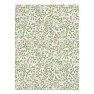 Wild roses poster