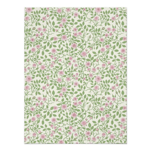 Wild roses  poster (Front)