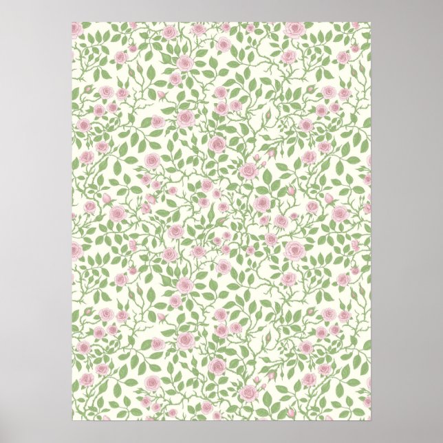 Wild roses  poster (Front)