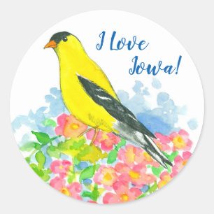Wild Roses Yellow Goldfinch Bird Classic Round Sticker