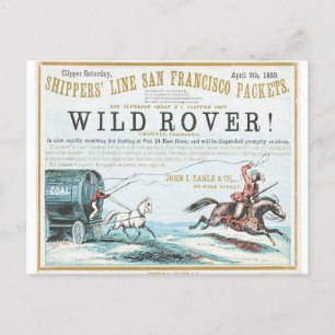 Wild Rover Clipper Sailing ship Postcard