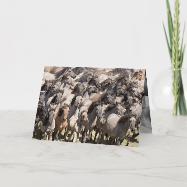 Wild Run - Wild Horse Greeting Card (Front)