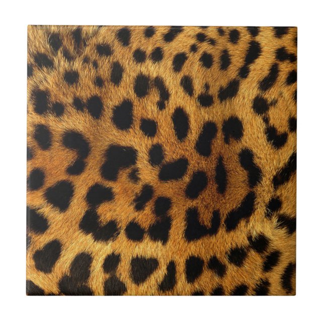 wild Safari animal cheetah girly leopard print Ceramic Tile (Front)