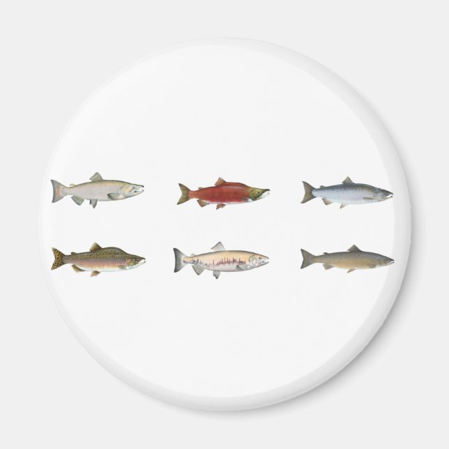 Wild Salmon Magnet (Front)