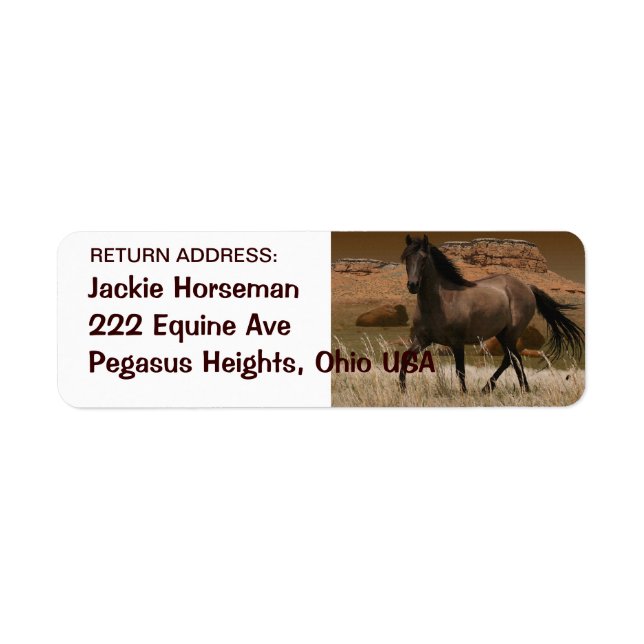 Wild SPANISH MUSTANG HORSE Return Address Labels (Front)