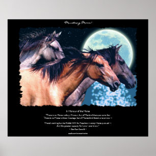 Wild Spanish Mustang Horses Art & Poem Poster