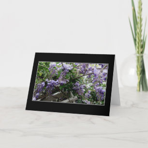 "Wild Spring" Card