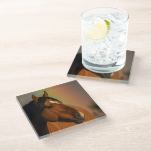 Wild Stallion, Golden Light and Rainbow Glass Coaster