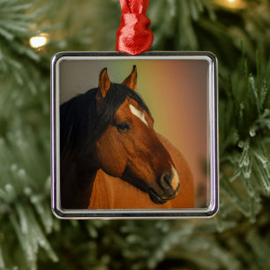 Wild Stallion, Golden Light and Rainbow Metal Ornament