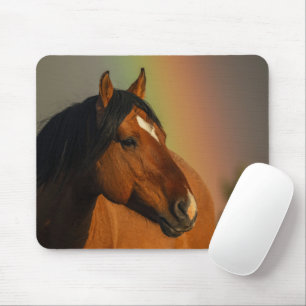 Wild Stallion, Golden Light and Rainbow Mouse Pad