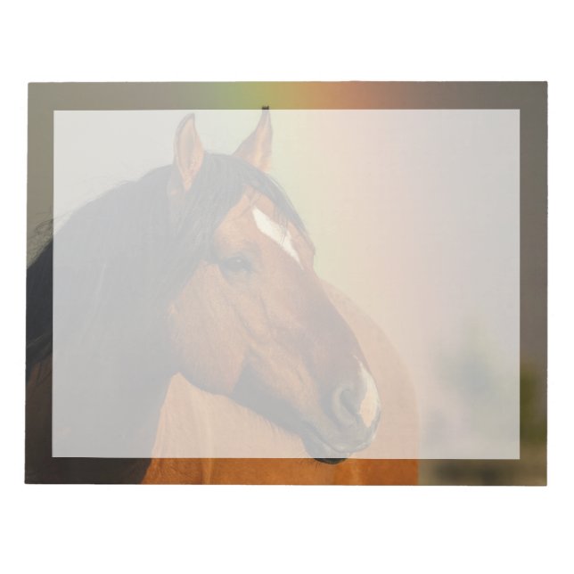 Wild Stallion, Golden Light and Rainbow Notepad (Front)