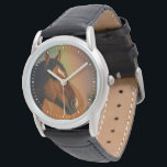 Wild Stallion, Golden Light and Rainbow Watch<br><div class="desc">Wild Stallion,  Golden Light and Rainbow</div>